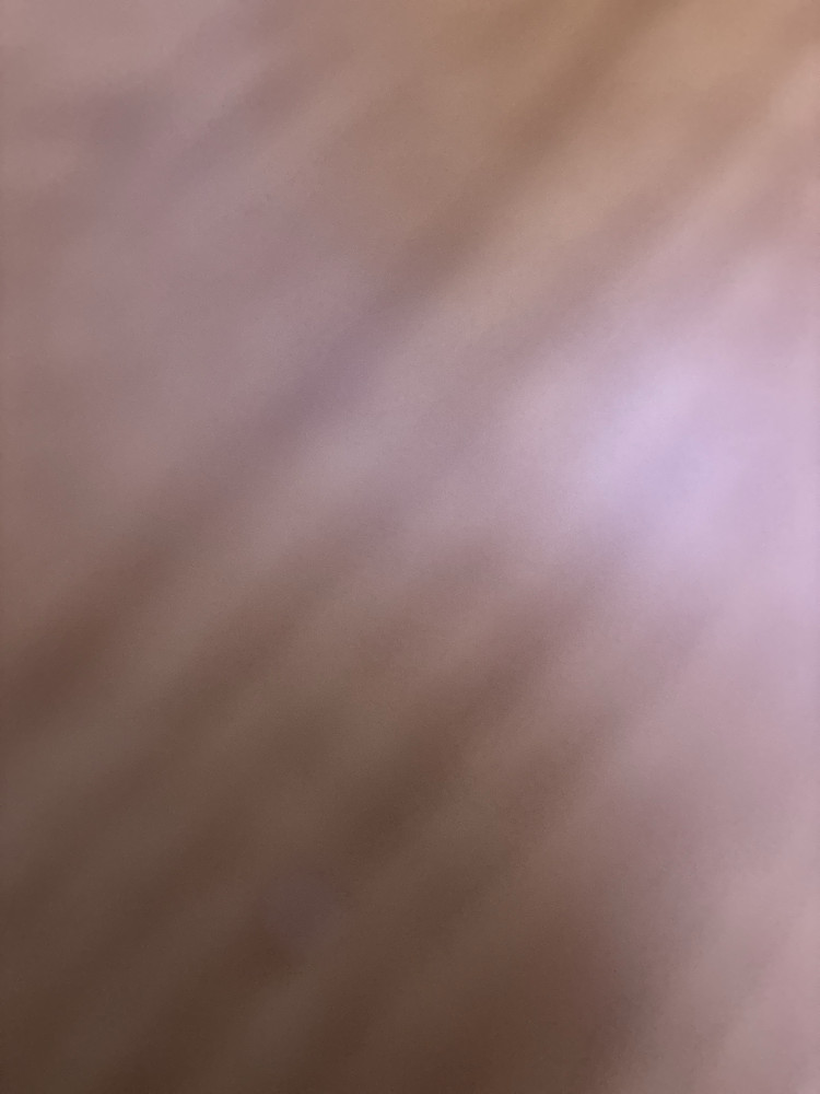 Photo 6387364