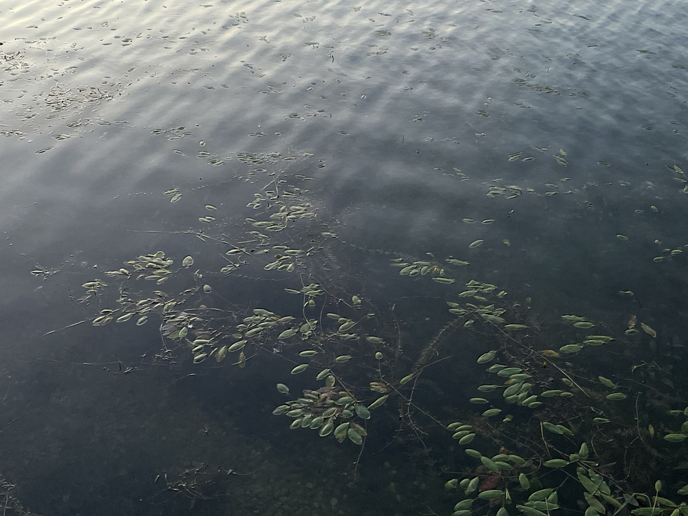 waterworks_002