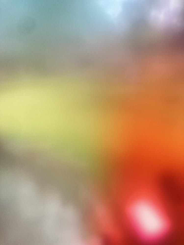 from my back yard through melted gummy candy 
