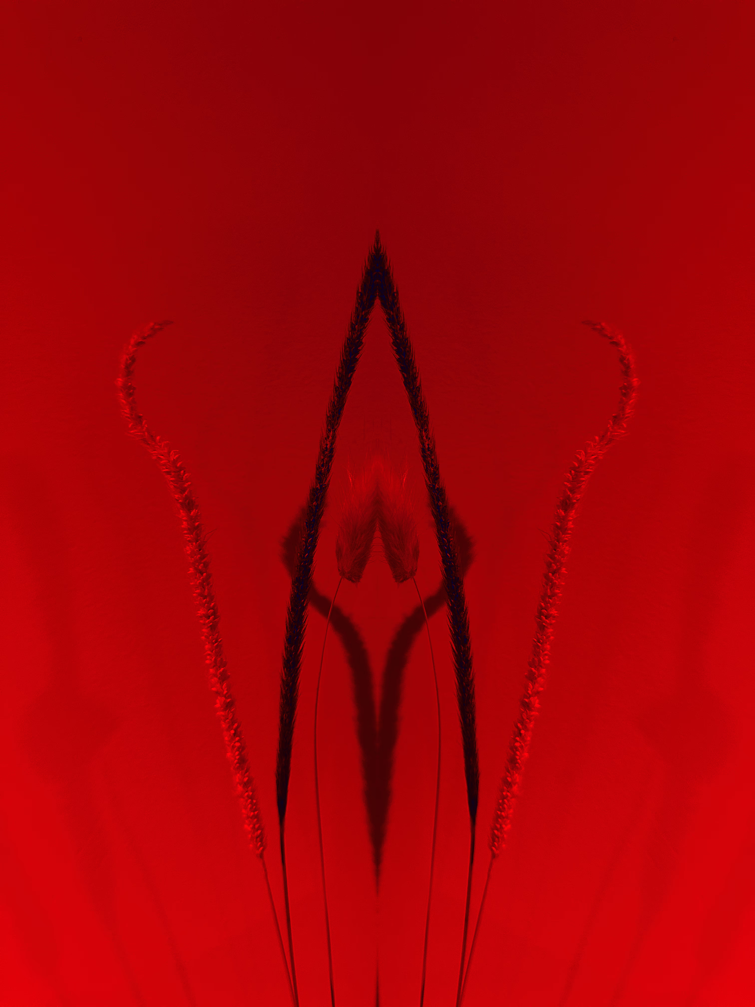 Devil’s Gate