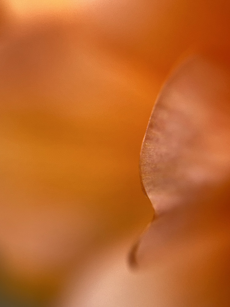 A Touch 