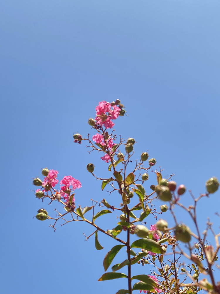 Photo 2409788