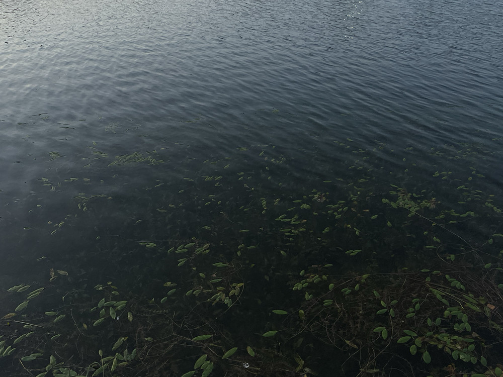 waterworks_001