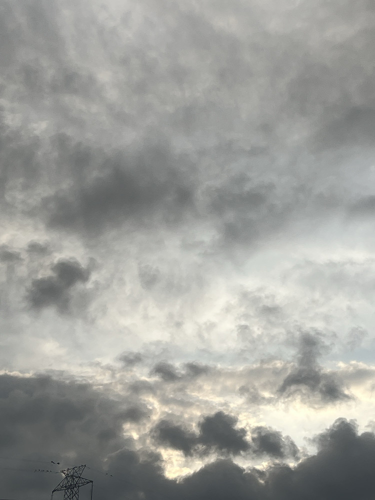 Storm chaser