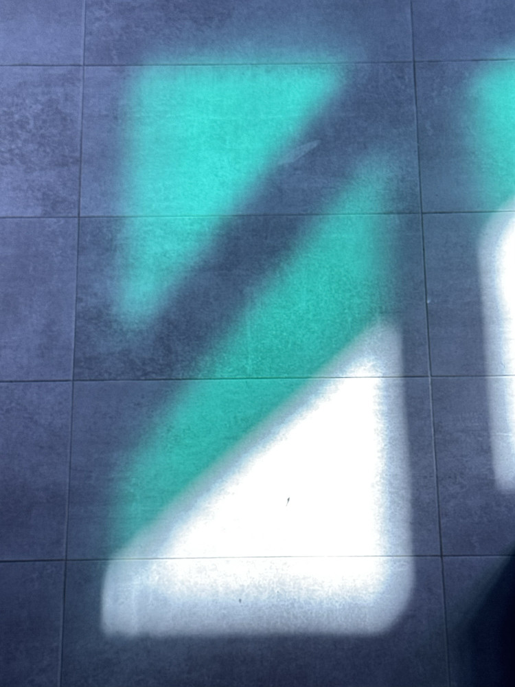 Photo 6485070