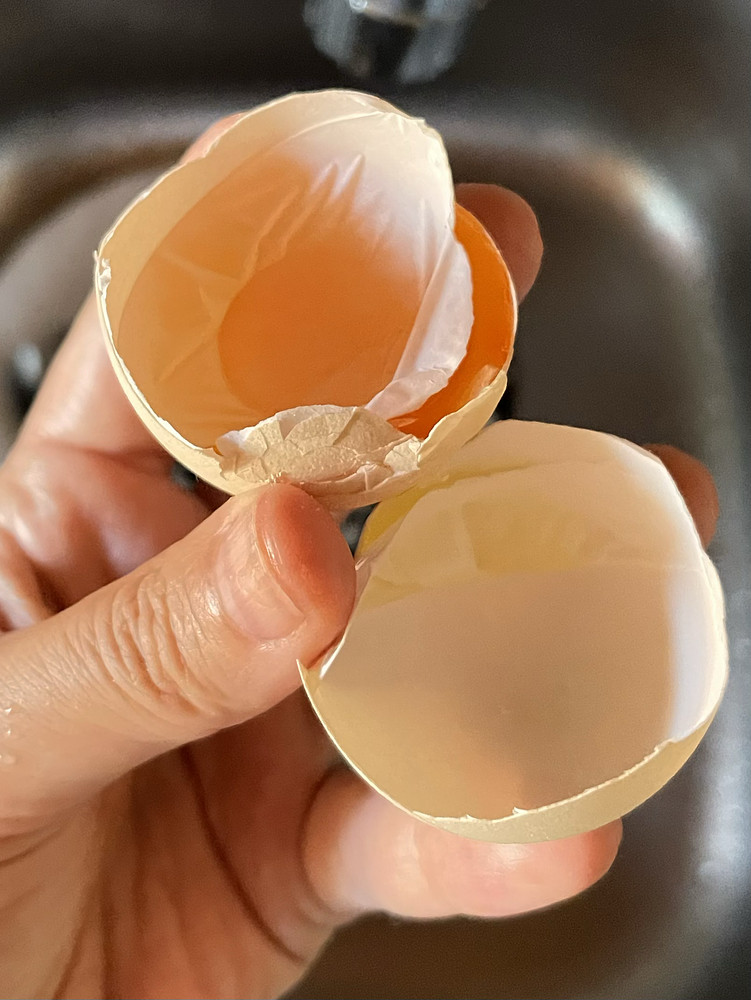 dried out egg 