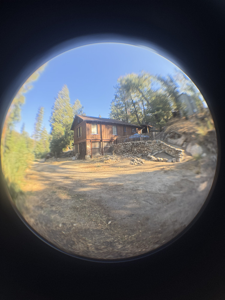 Gold rush cabin
