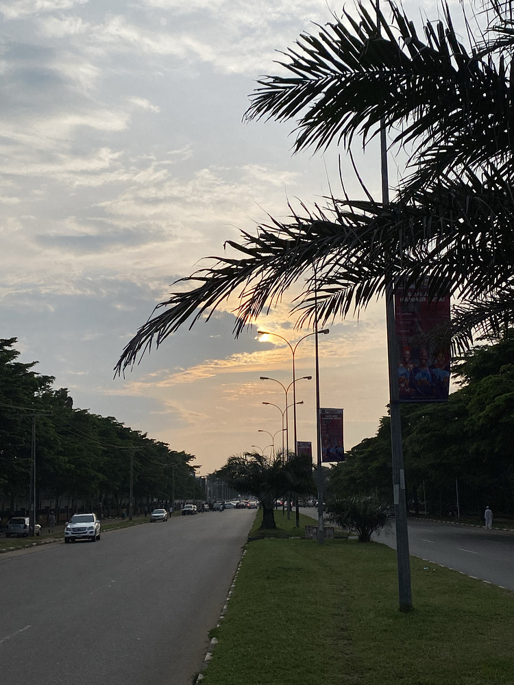 Photo 8781816