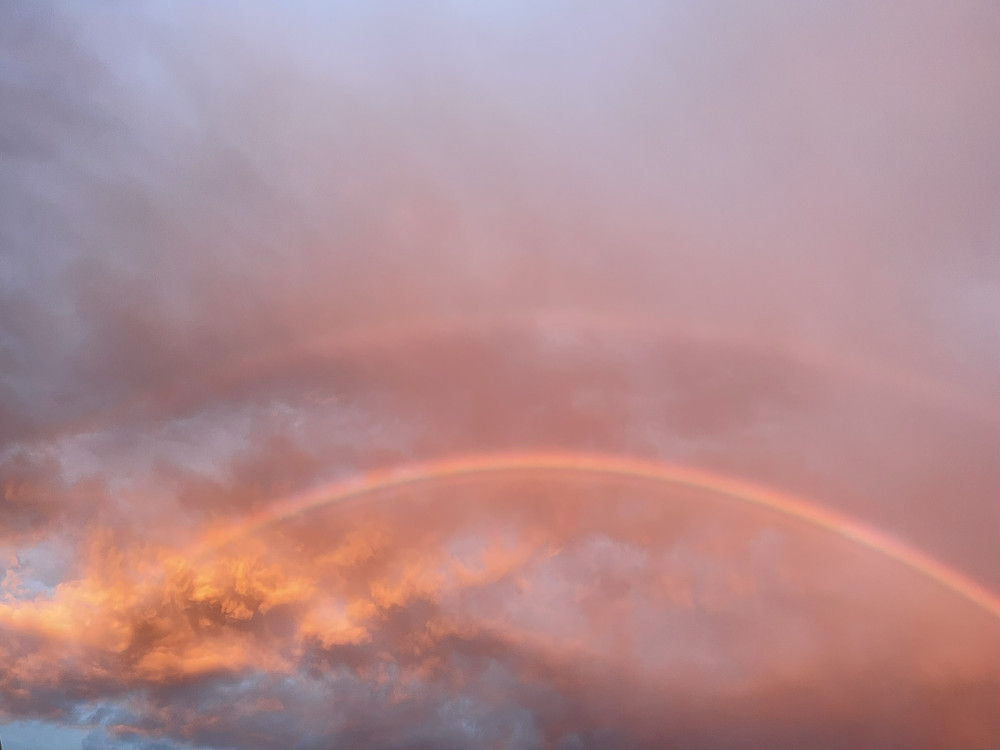 double rainbow show 