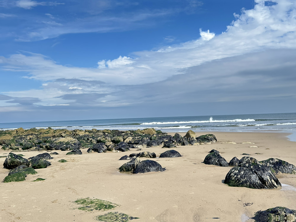 Beach Secrets