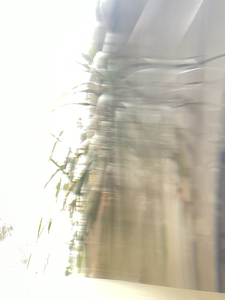 Photo 1042693
