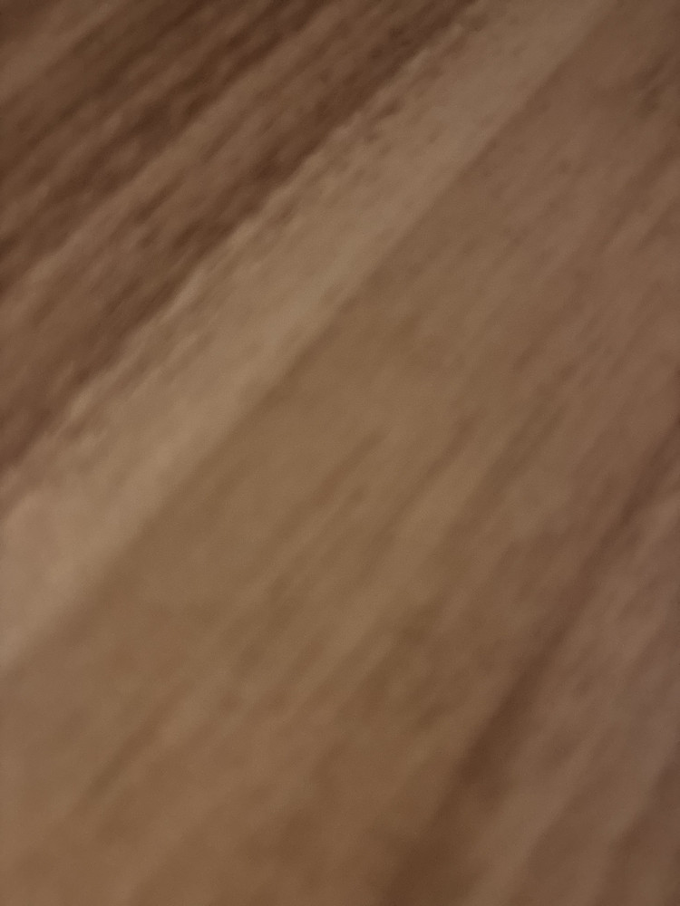 Photo 1001159