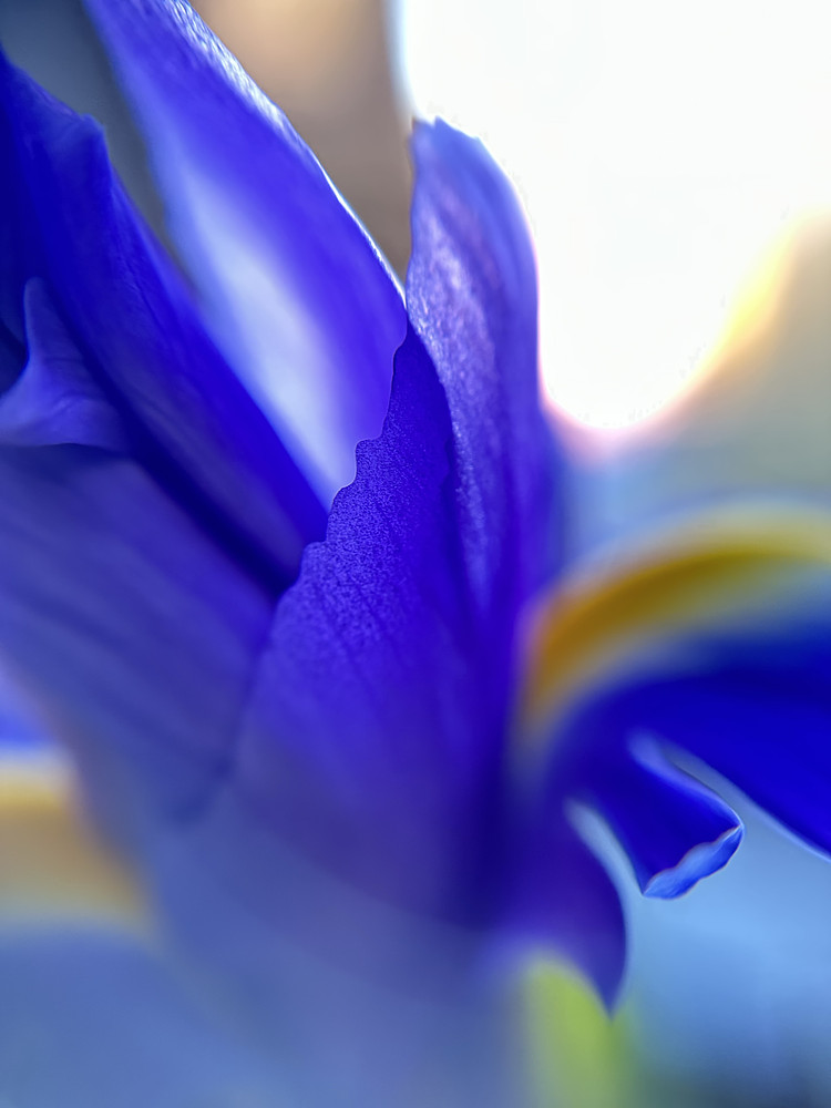 Watercolour Motion
