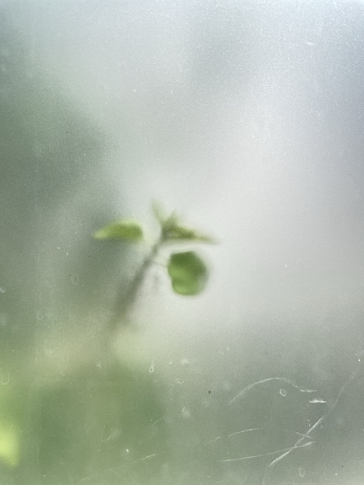 Fragile life 