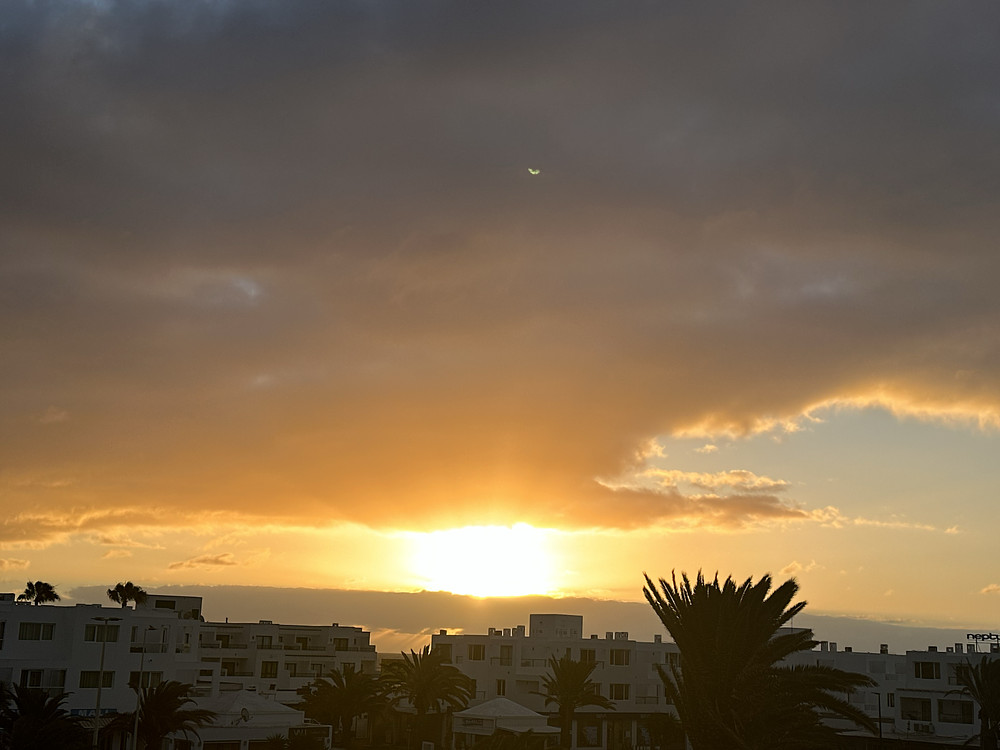 Paradise Awakens