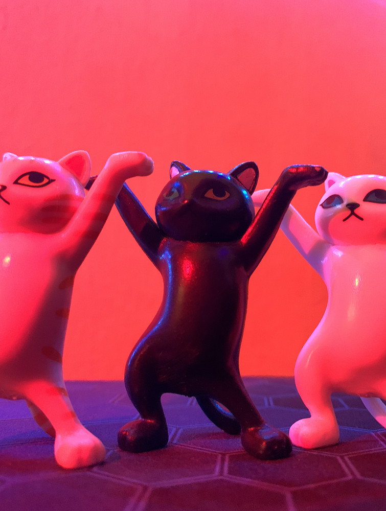 Federation of cats