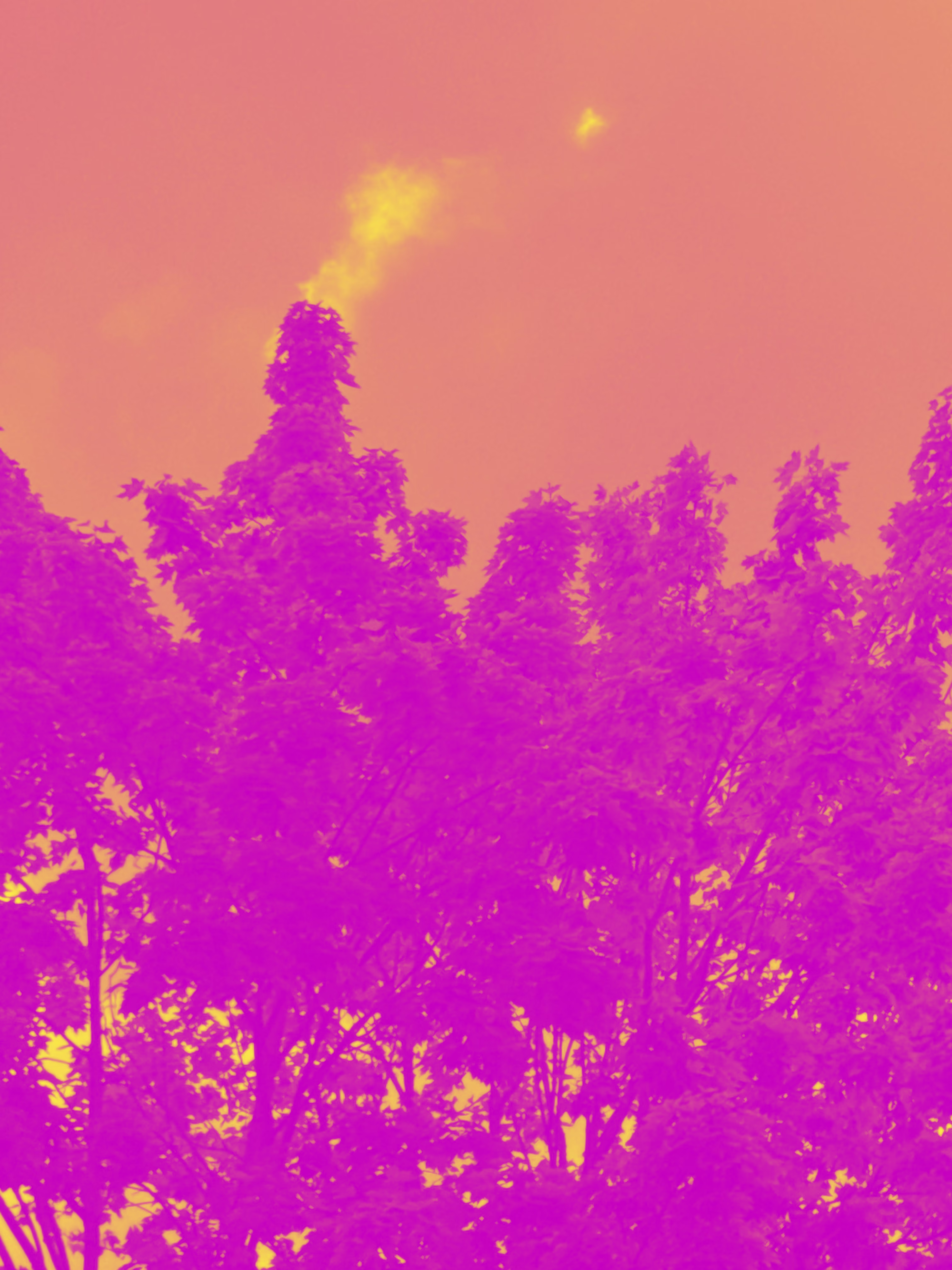 Photo 1116034