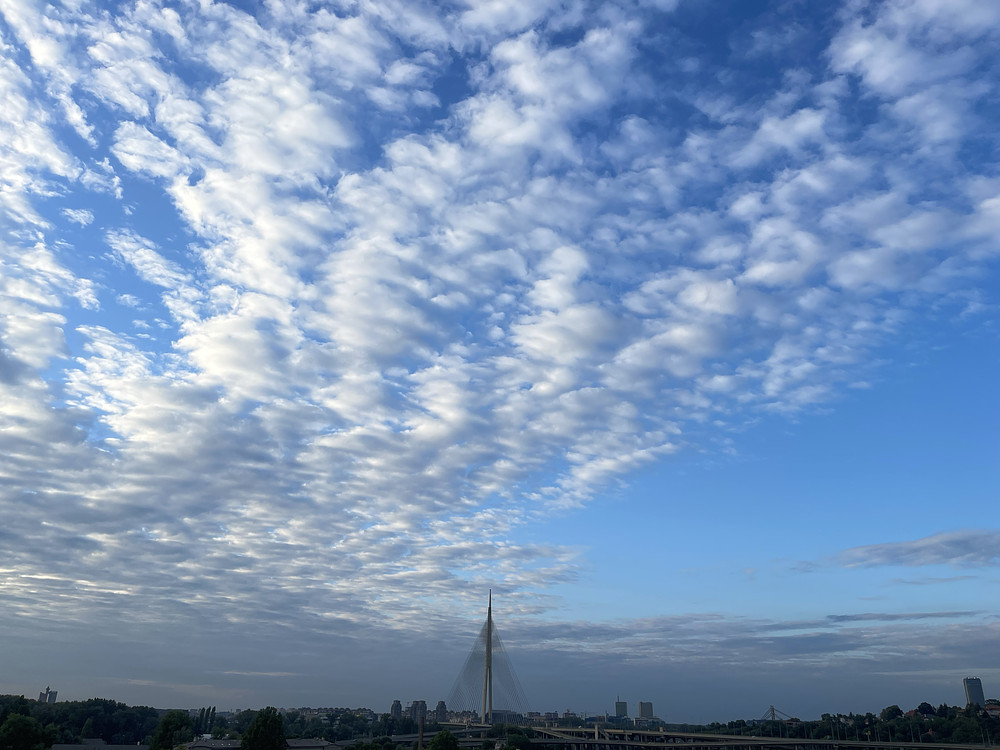 Photo 1928838
