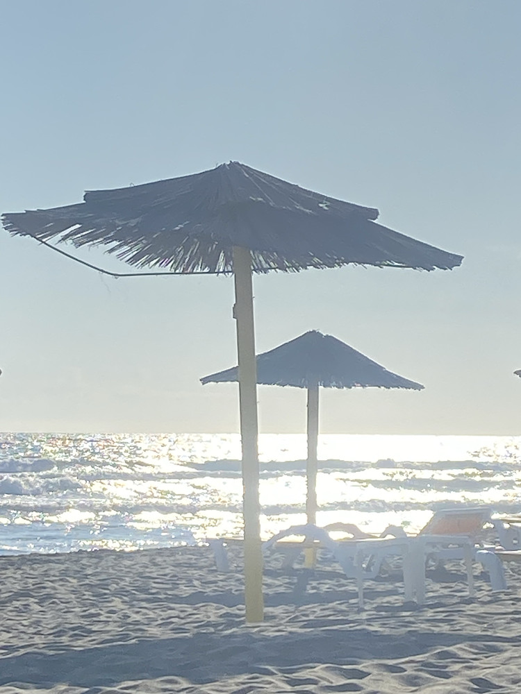 Sea, Shade, Silence