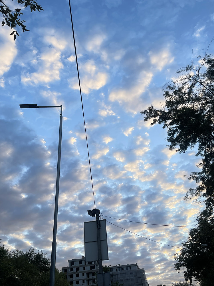 Photo 7220763