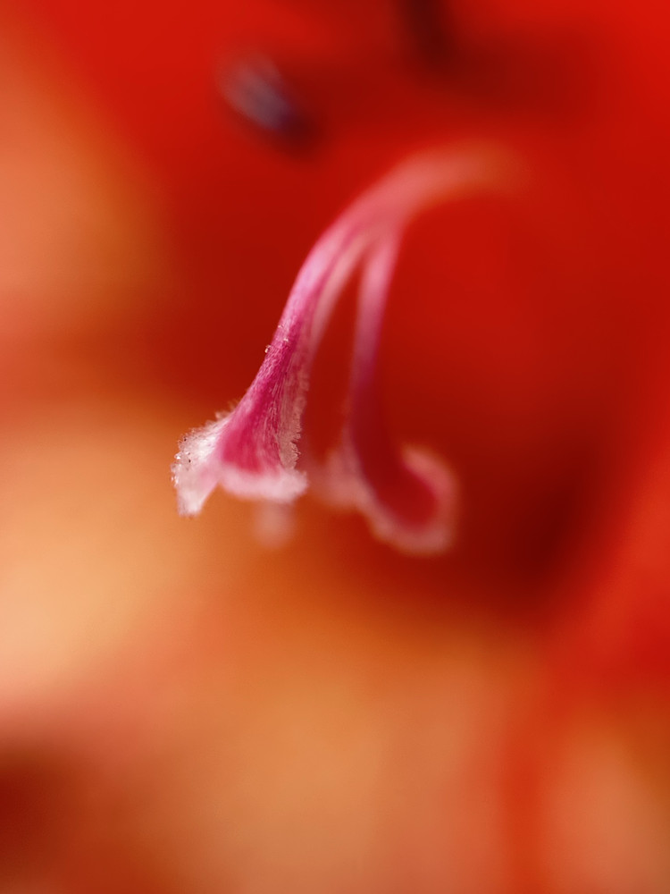 Protruding 