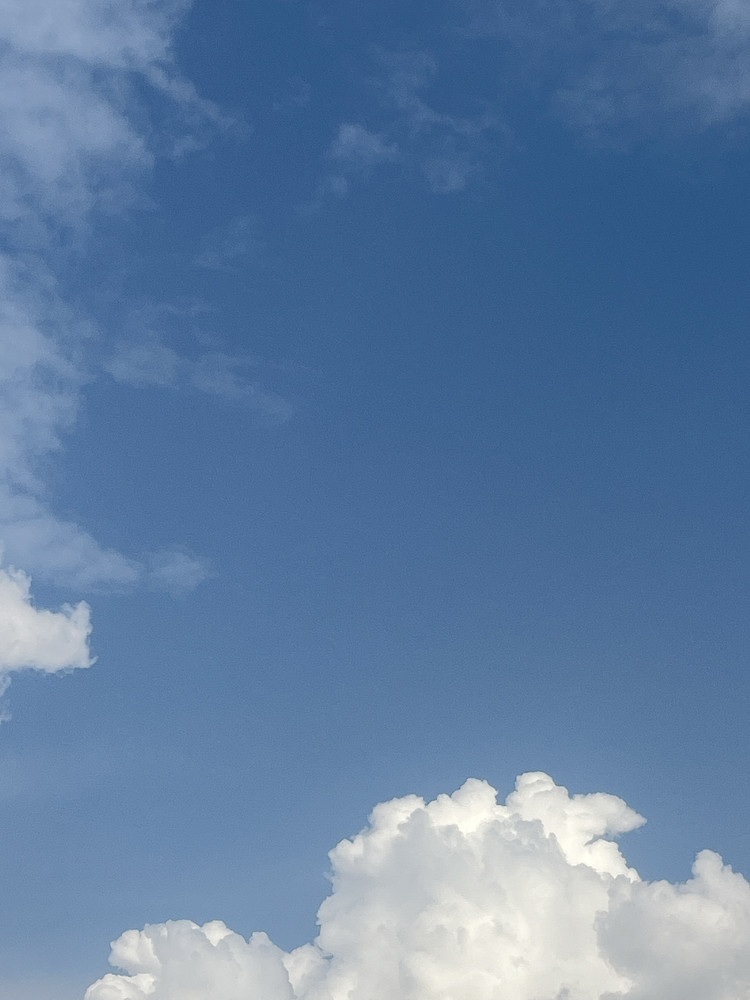 The clouds 