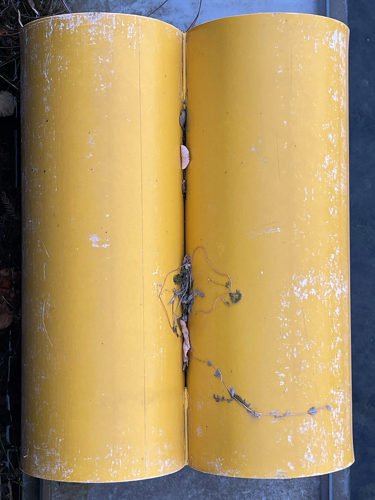 Yellow barrels