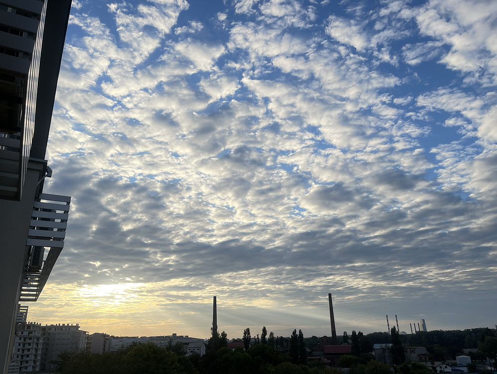 Photo 3641621