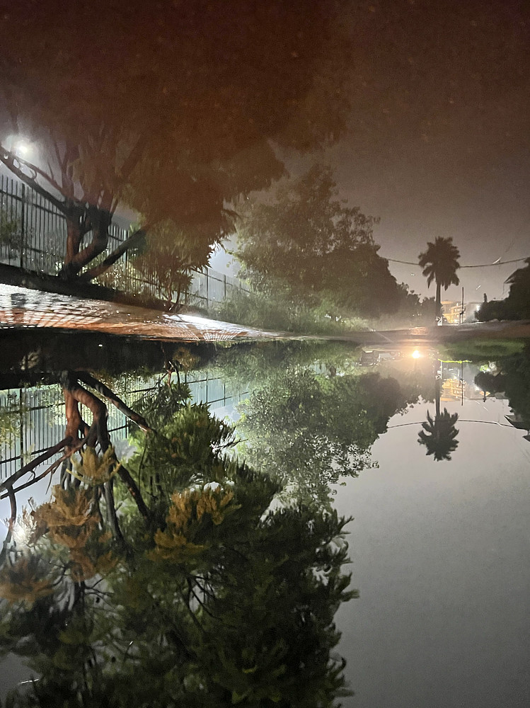 Reflected Silence II