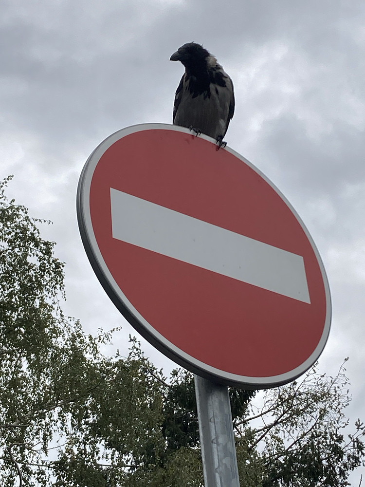 Sign