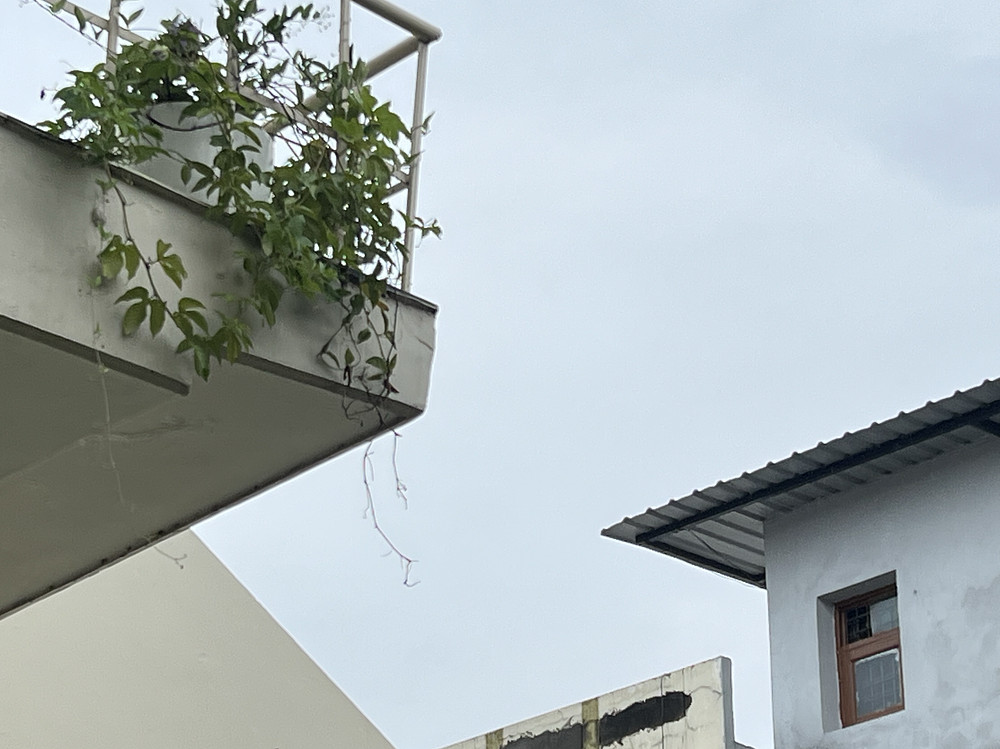 Photo 2606972