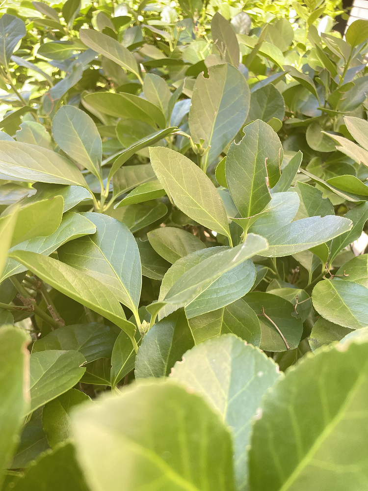 Photo 1472853