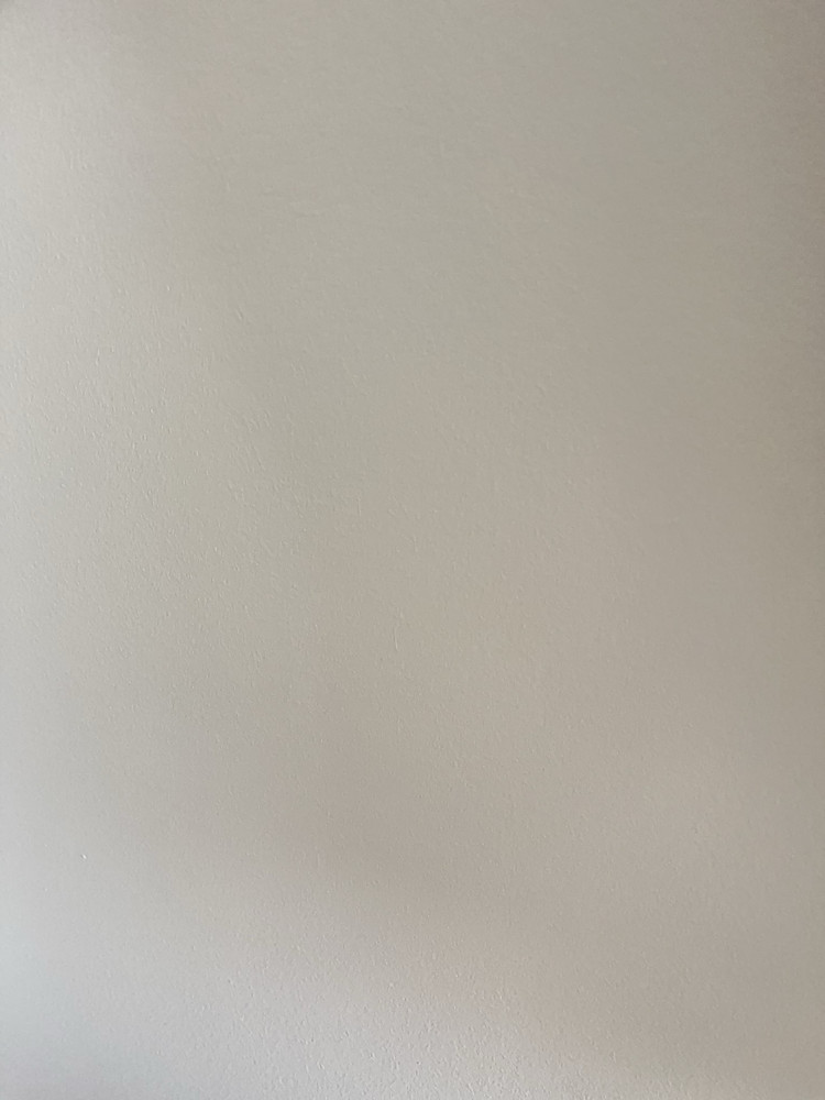 Photo 6394202