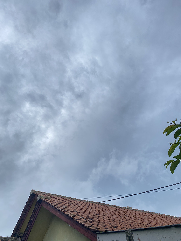 Photo 1372892