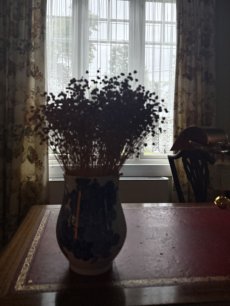 Still Life
