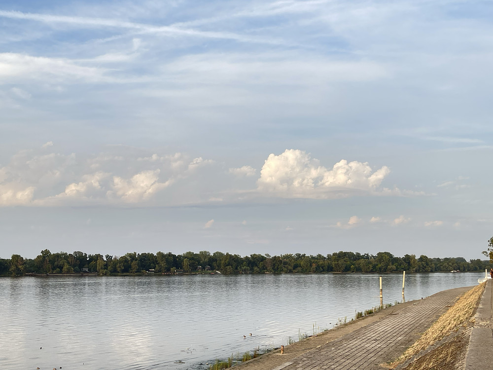 the Danube banks