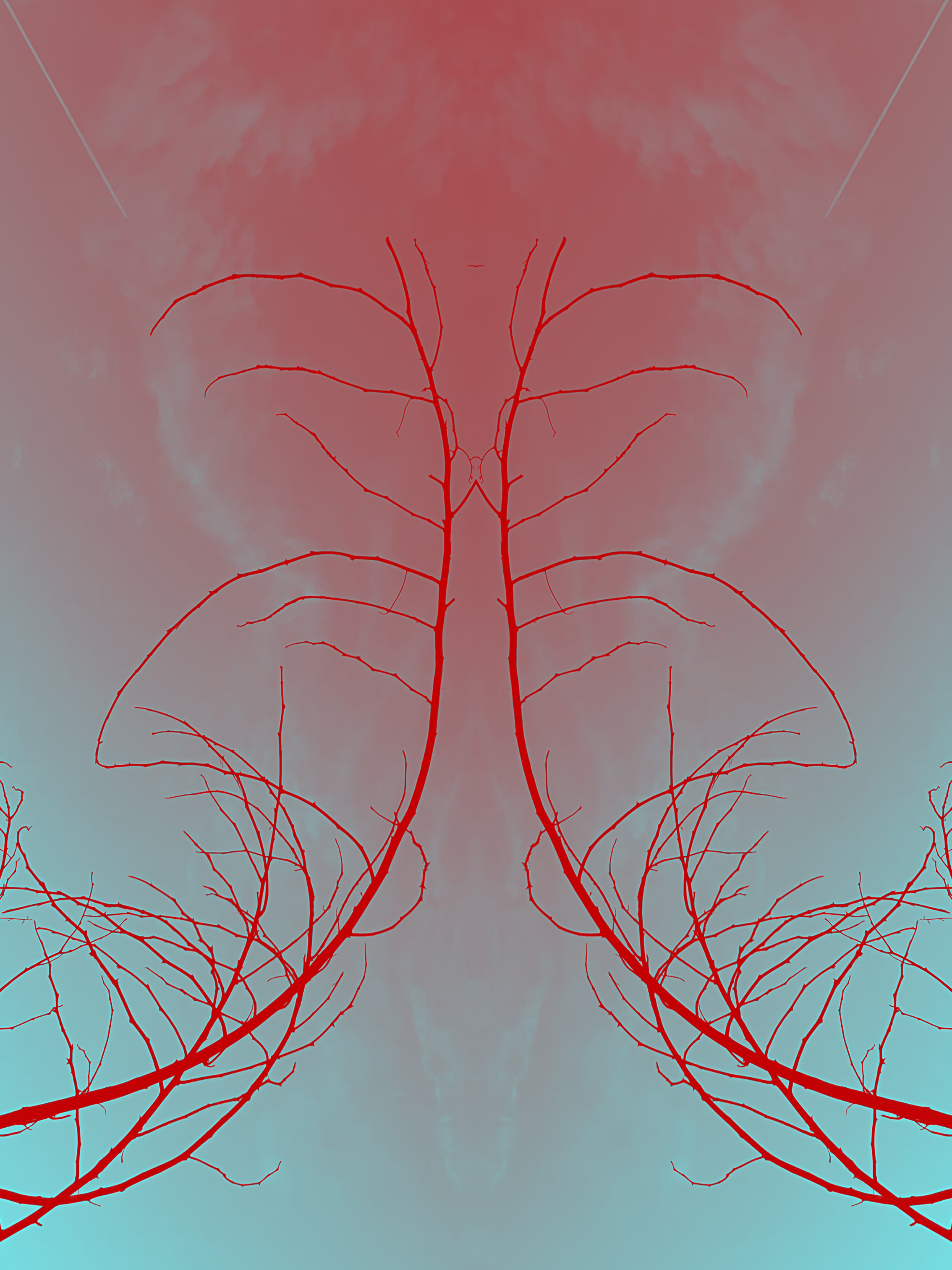 celestial lungs