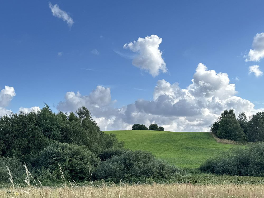 Landscape #2