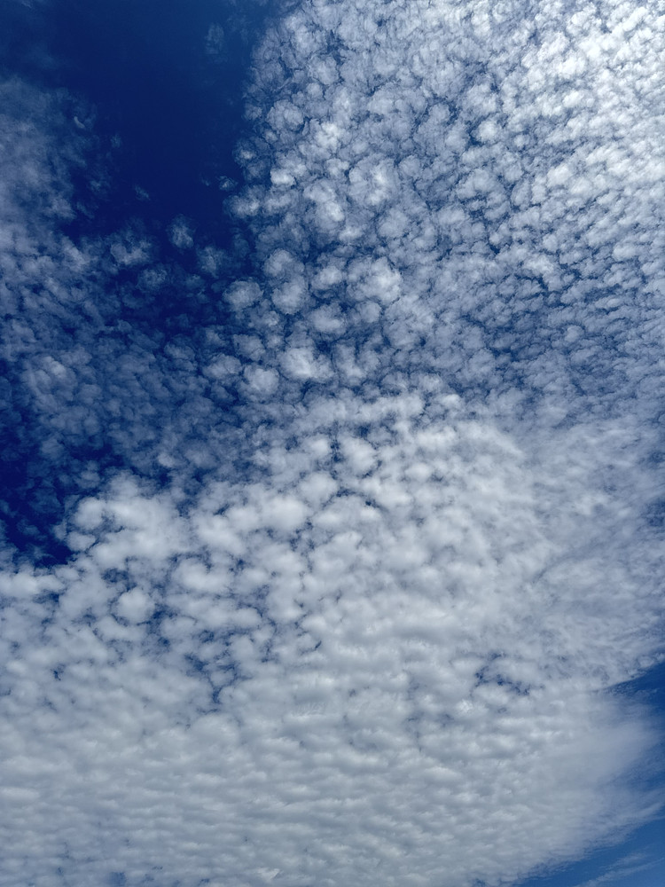 Photo 7129089