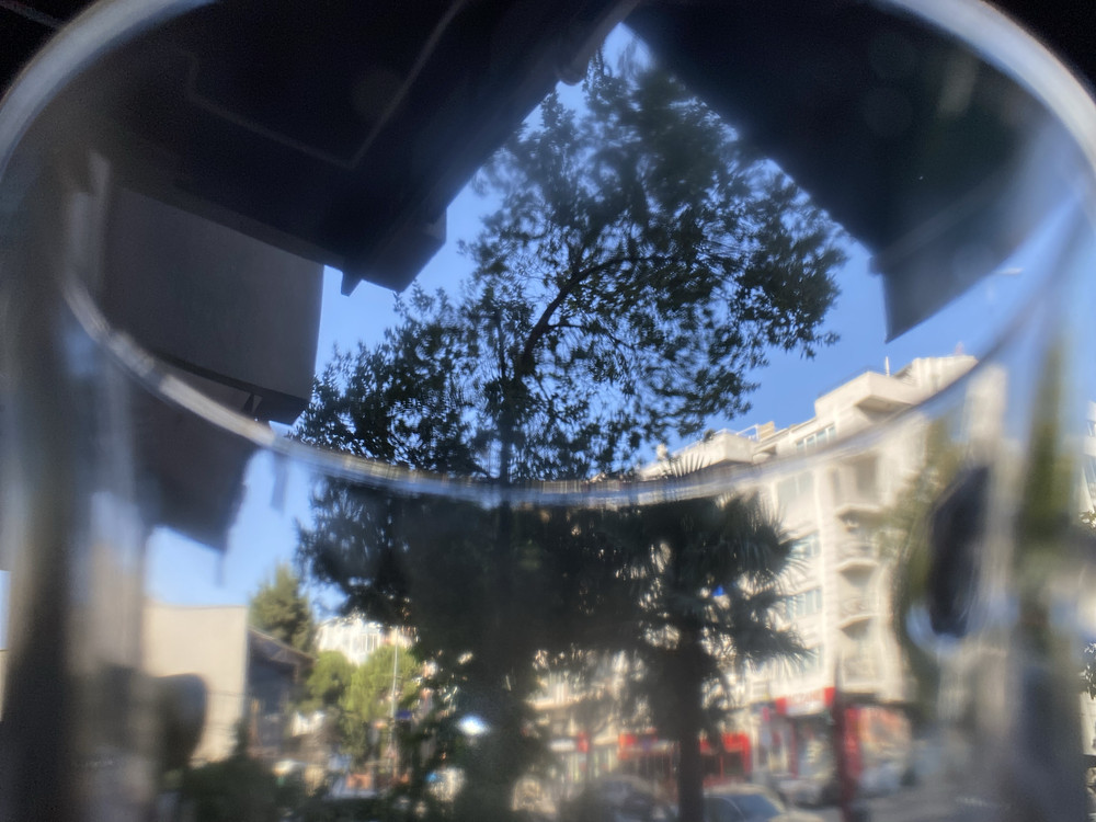 Blue morning 