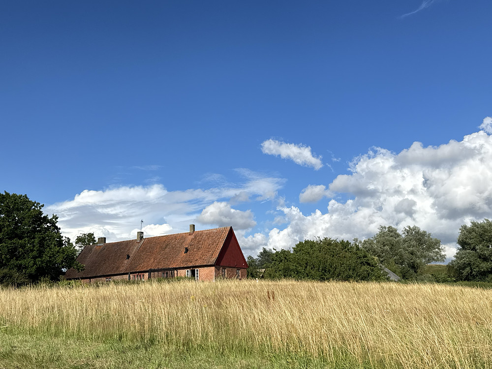 Landscape #3