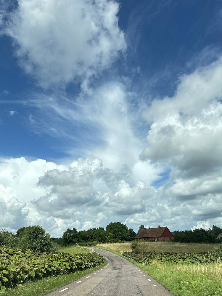 Landscape #1