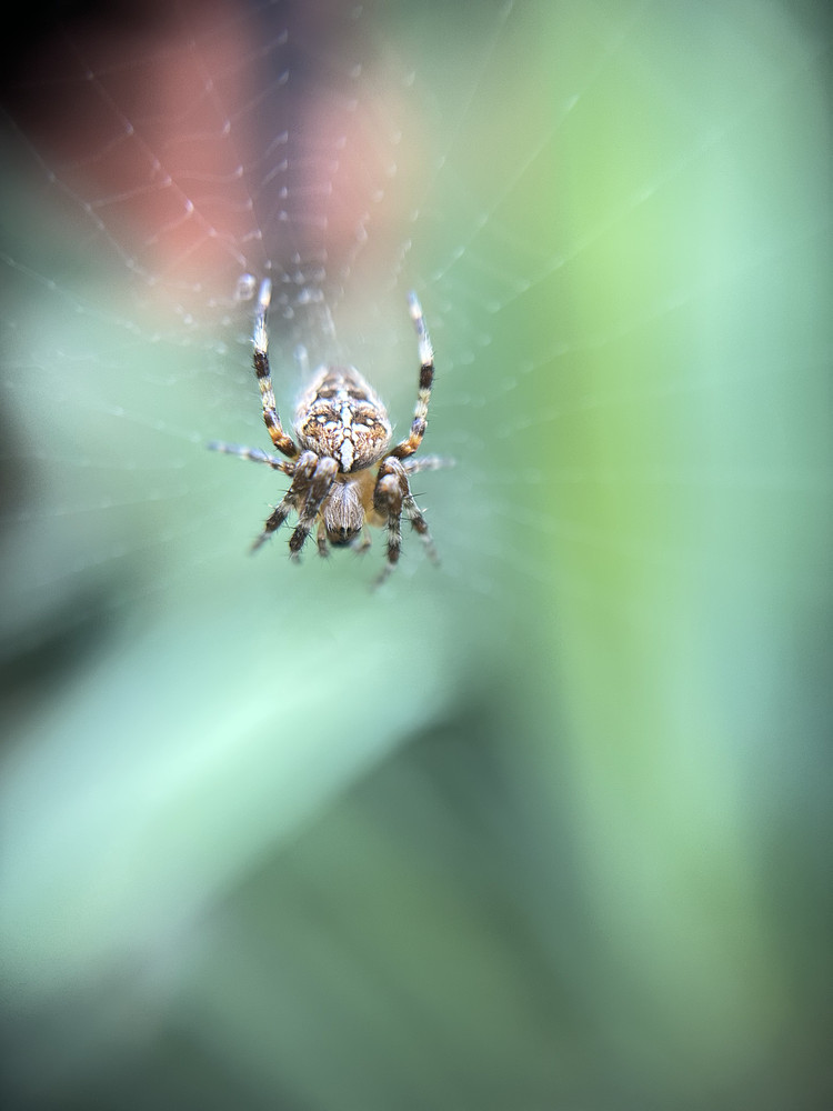 Hanging Out 