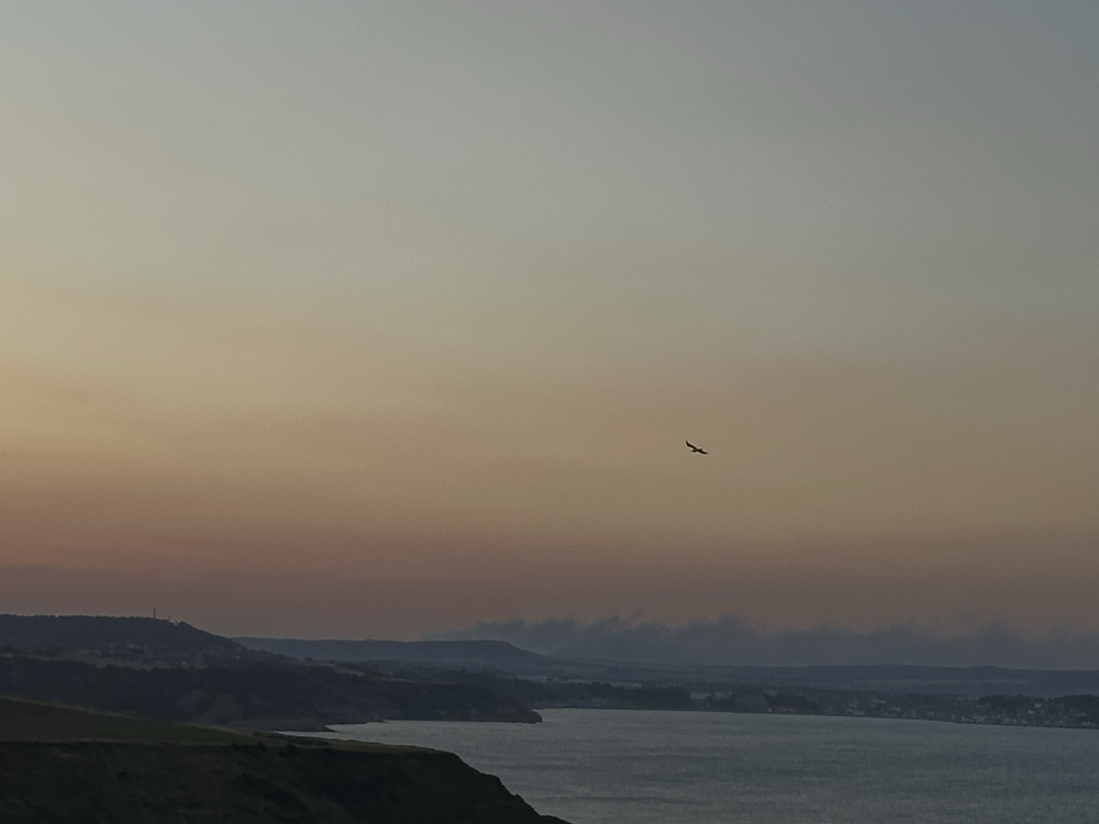 Misty Horizons