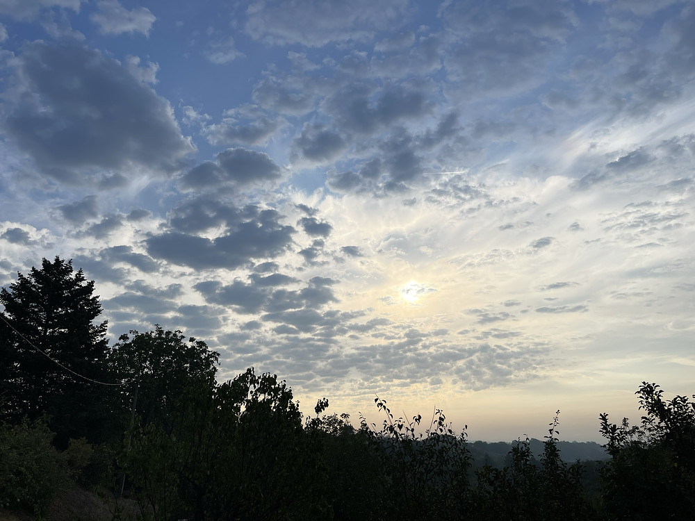 dawn
