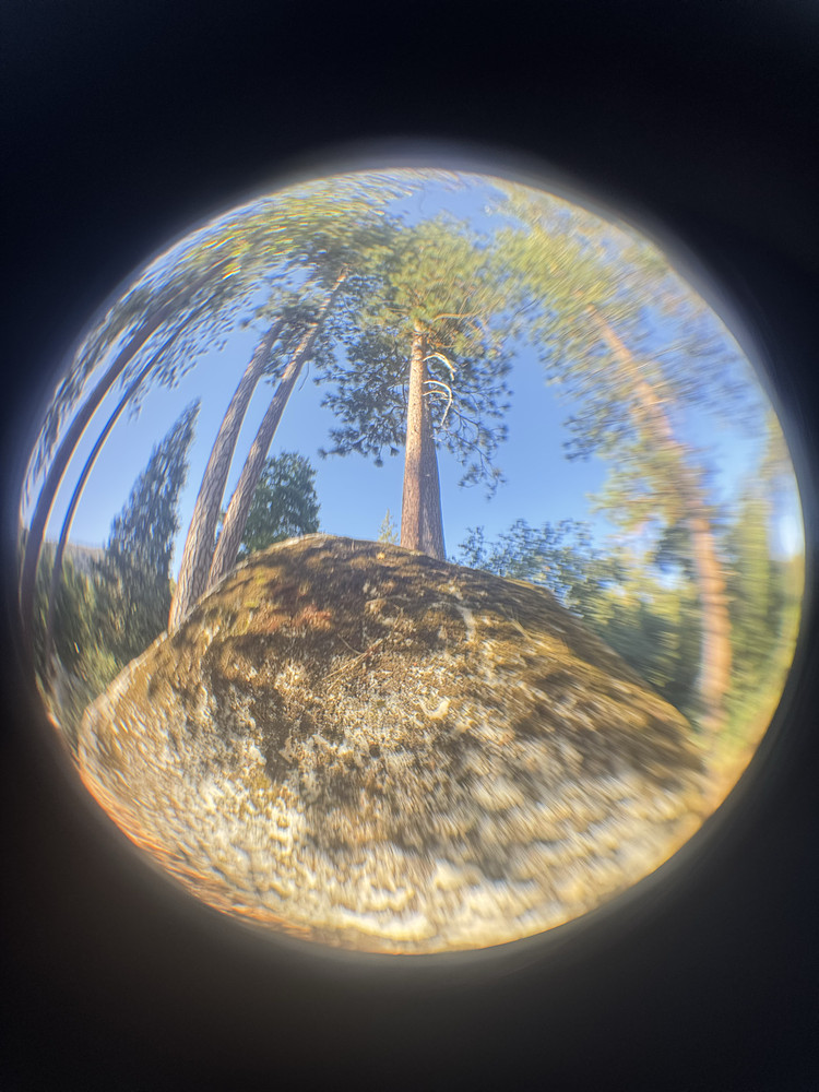 Boulder element