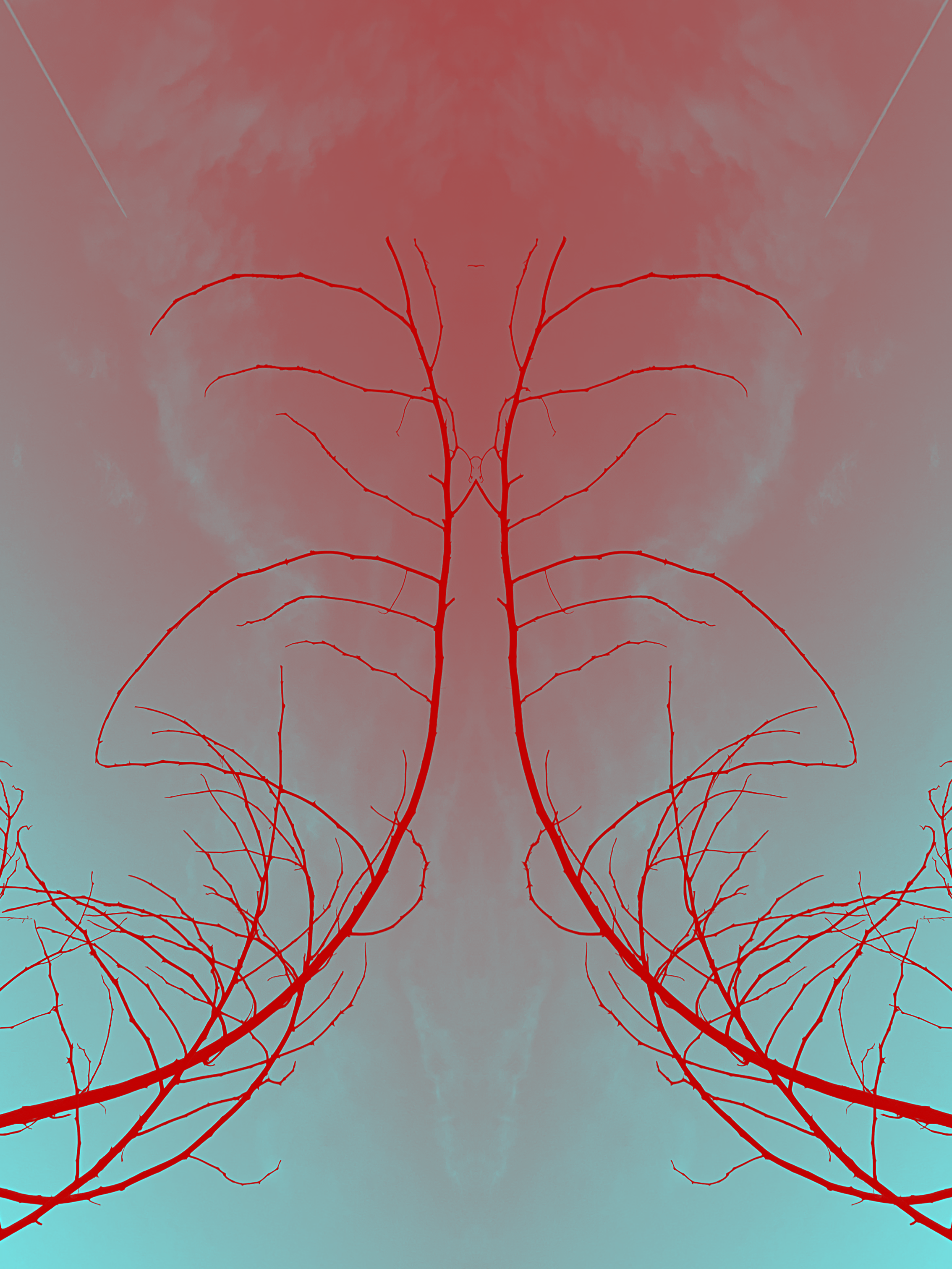 celestial lungs