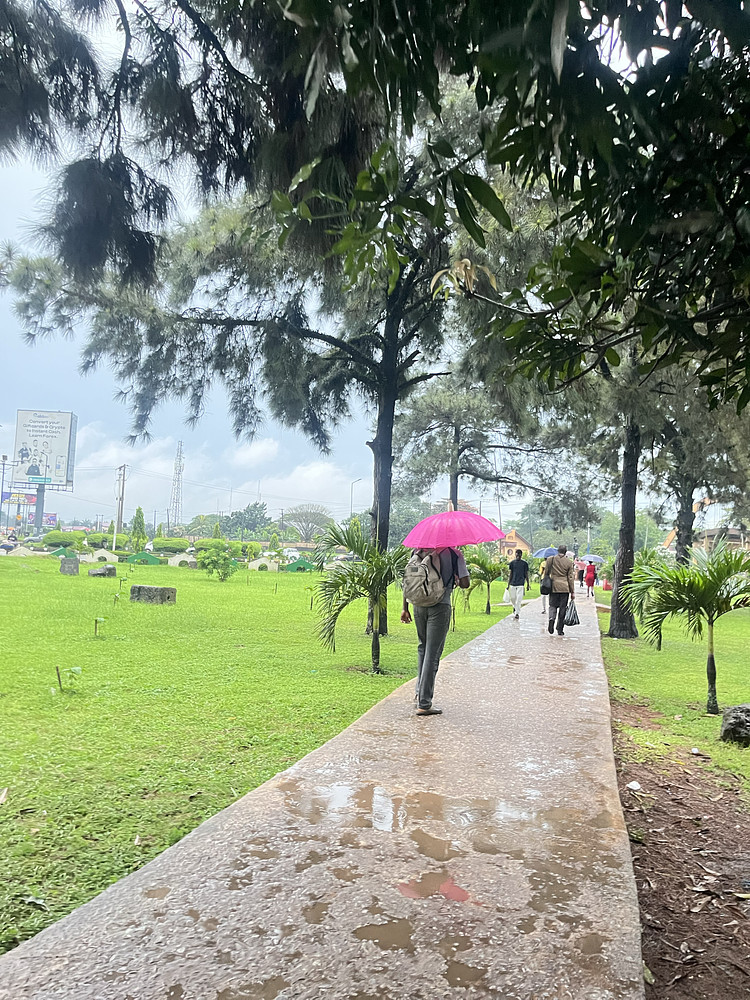 Rainy days 
