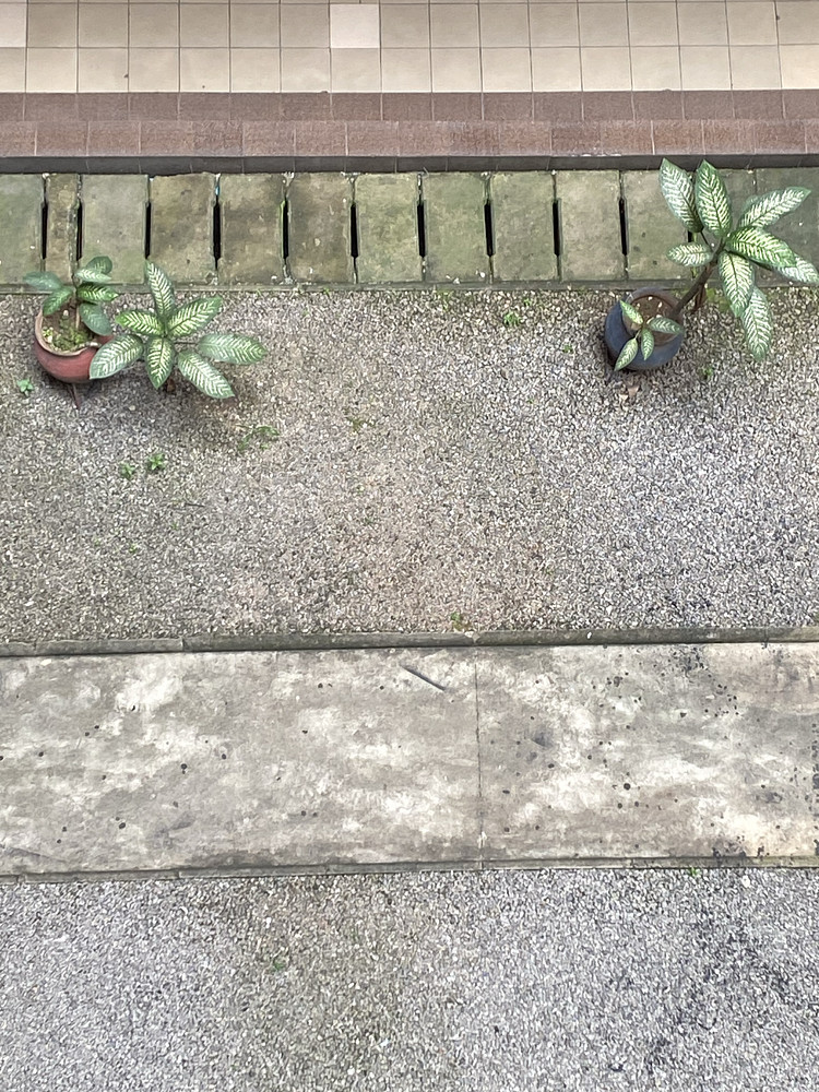 Photo 2136595