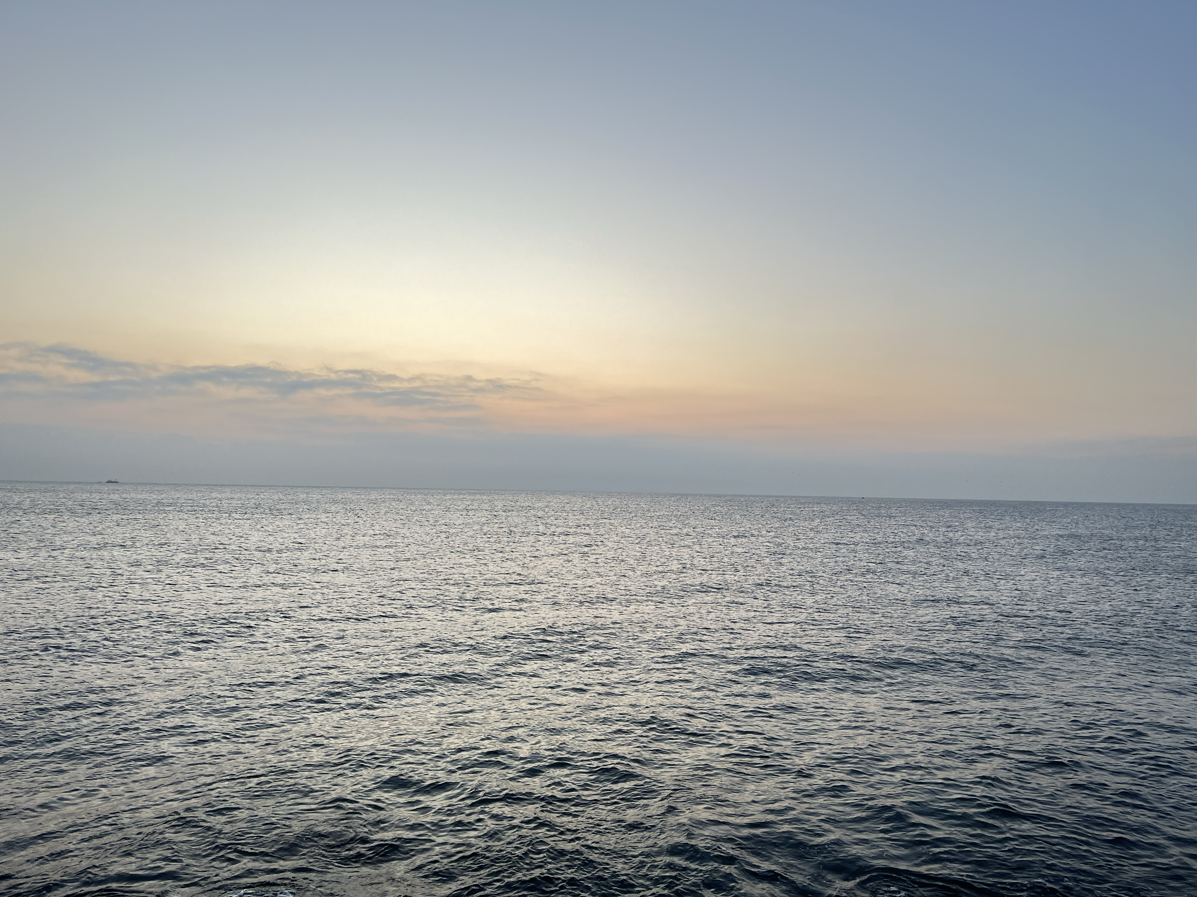 Good morning to you and others like you